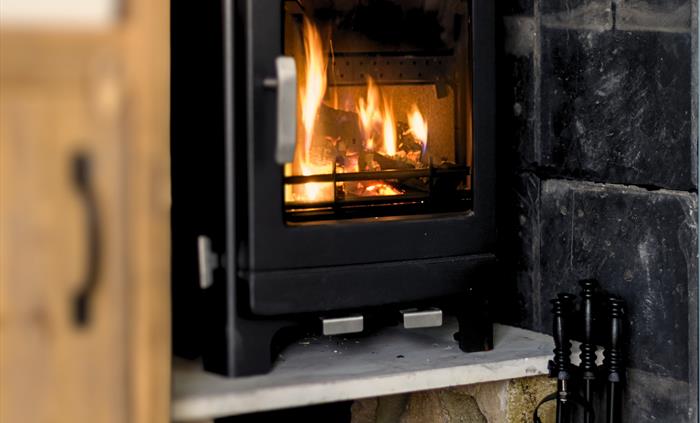 Log burner in Susanna - Brook Cottage Shepherd huts